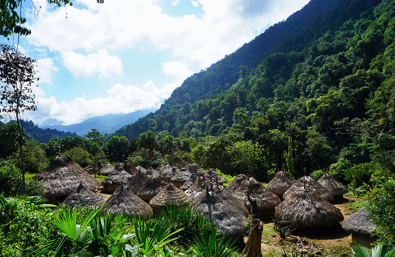 Nipa Huts In The Hills Of Magdalena Colombia