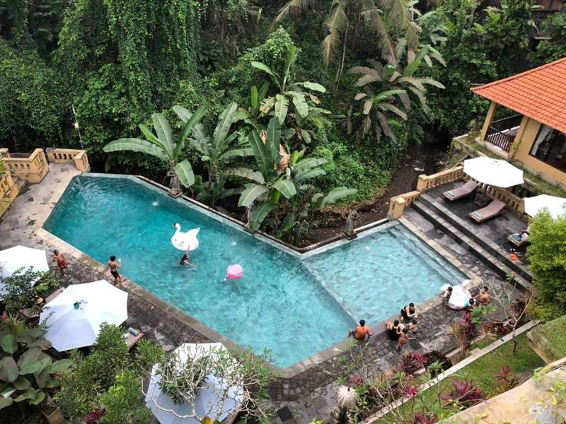 Aerial view of the swimming pool at Sri Aksata Ubud Resort in Bali- KILROY