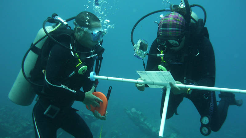 Image of volunteers undertaking conservation activities under the sea - KILROY