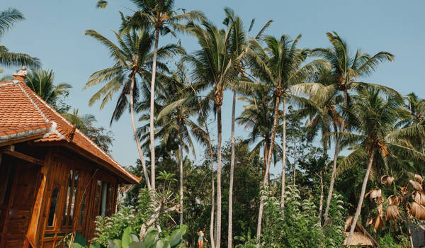 Bali Ubud House