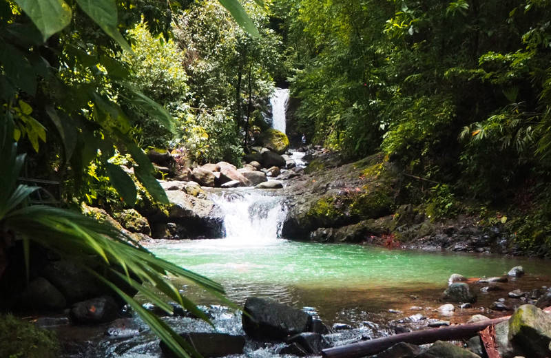 Uvita waterfalls and its lush green surroundings in Costa Rica