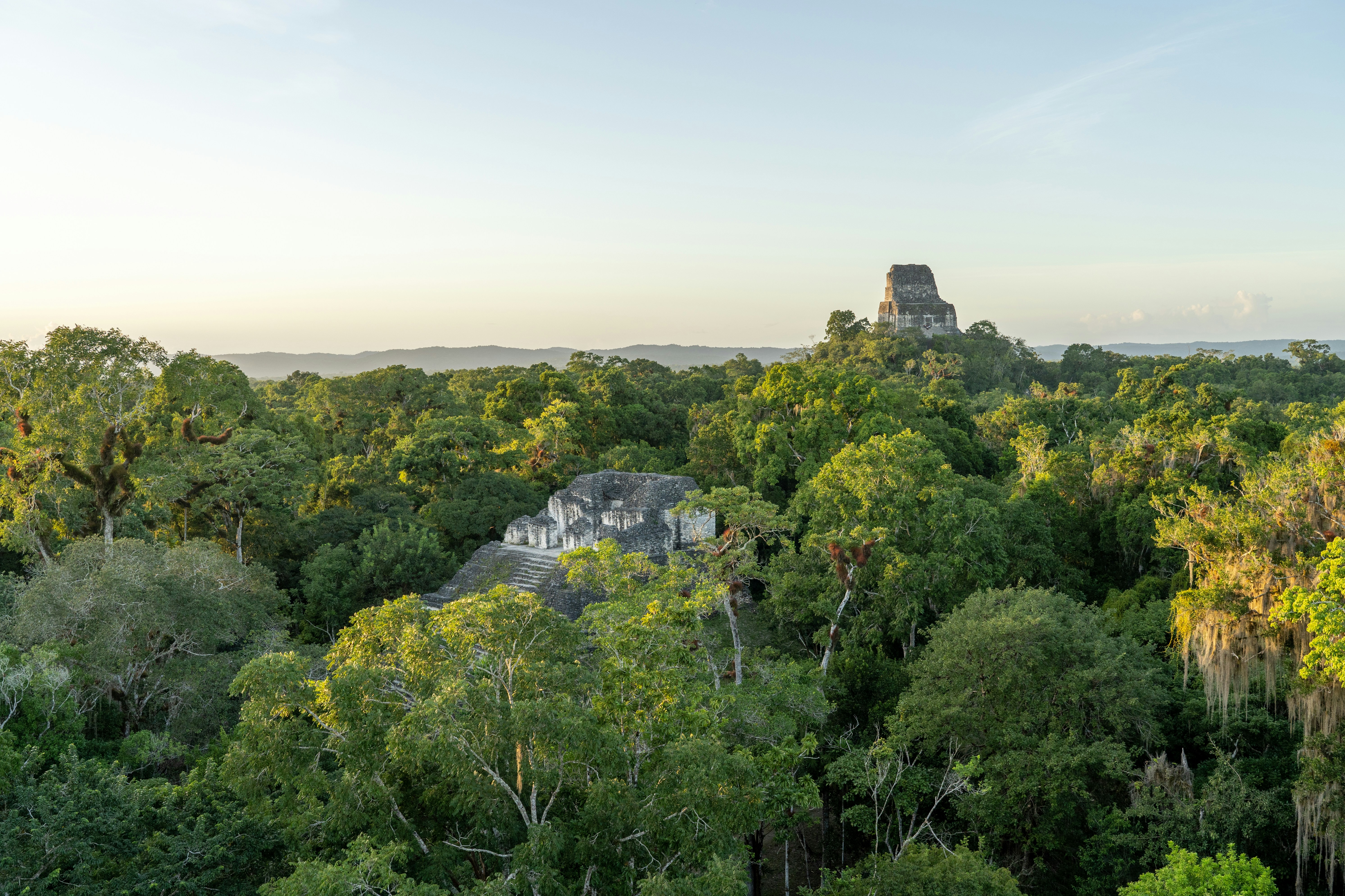 Image of a tip of ruins visible above the tree line from the Tikal site in Guatemala - KILROY