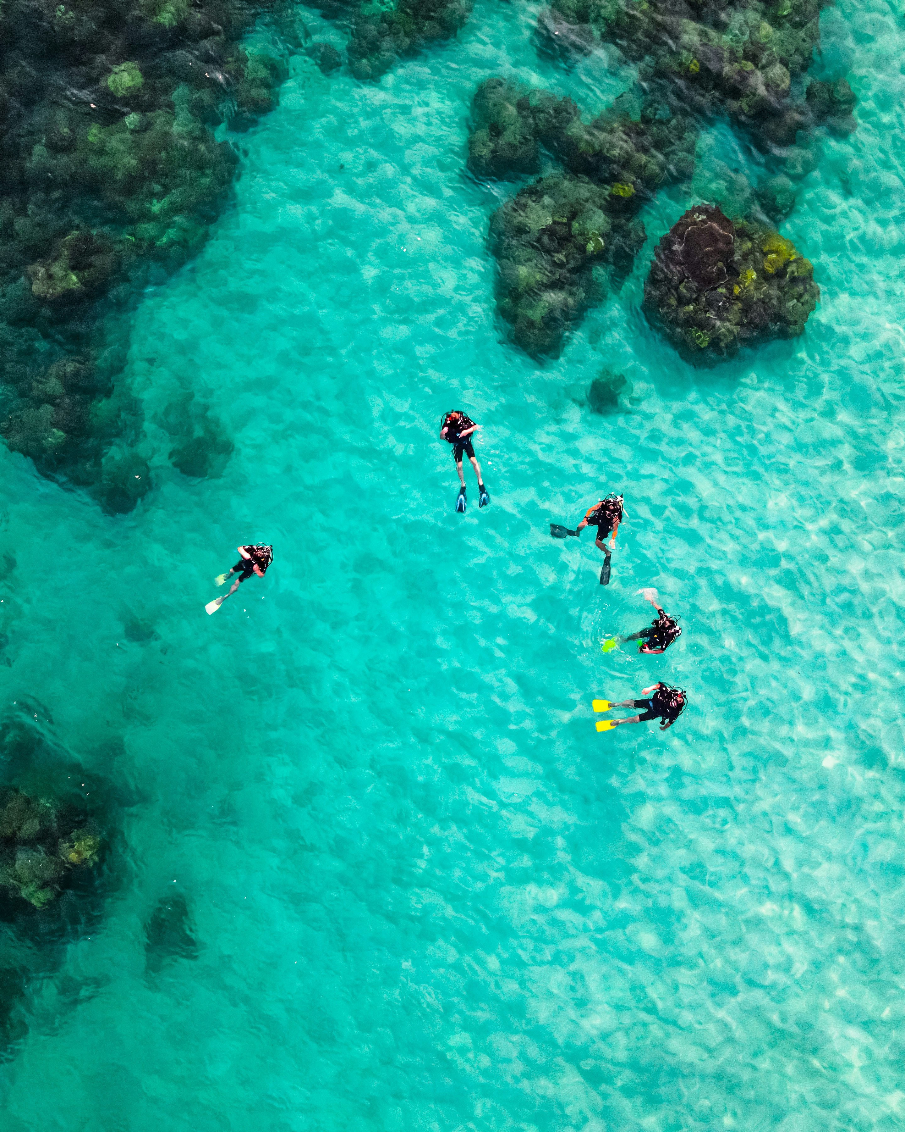 Aerial images of divers on the water's surface in Malaysia - KILROY
