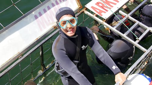 save_shark1_1280x720_