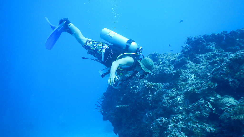 fiji-marine-conservation-coral-reef