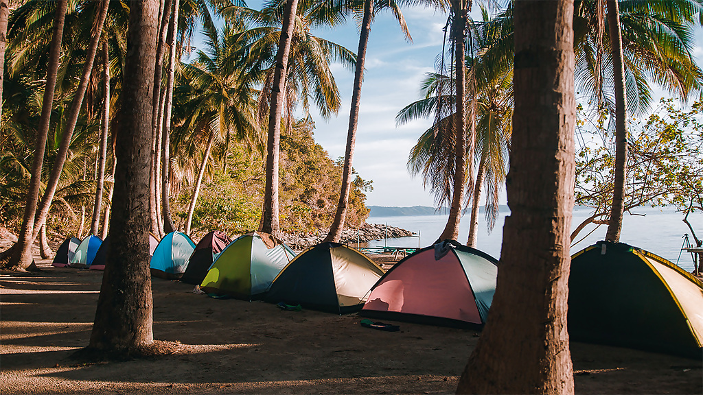 ttt5d-palabeach_7__1280x720_for_navi_web