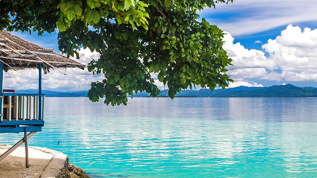 ttt16dpalbees_2_1280x720_for_navi_web