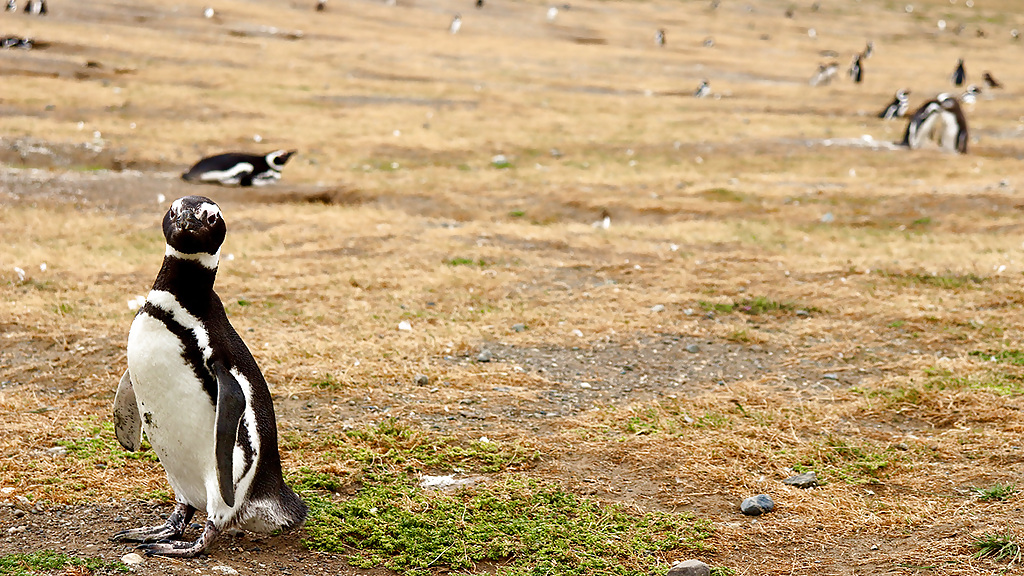 ar08_1_1280x720_for_navi_web