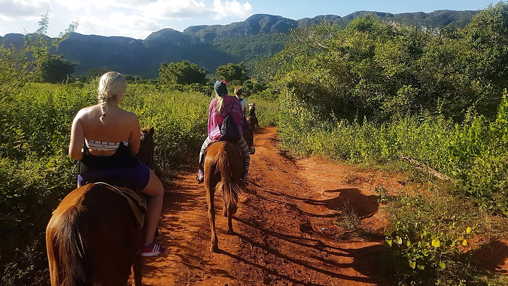 vinales_1_1280x720_for_navi_web