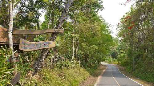 chiang-mai-countryside-treehouse-exper