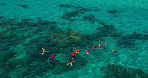 34249-797c131a-ddec-4fed-8b12-c58a1d7174b3-thumbnail