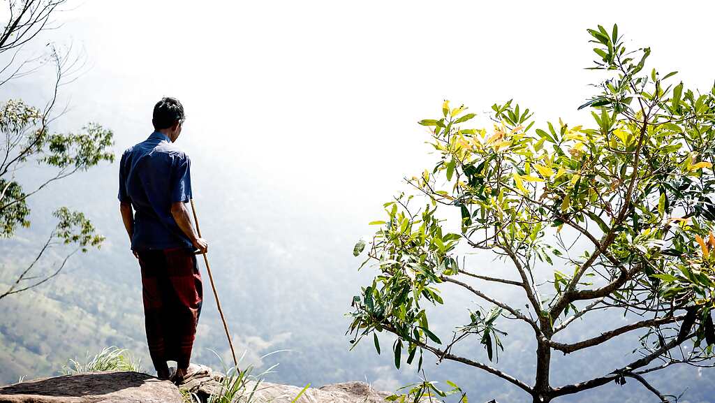 knuckles-mountain-range-hiking-trail-8