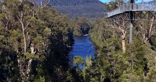 20467-42220634-55e8-402e-9138-31fec99d36d4-thumbnail