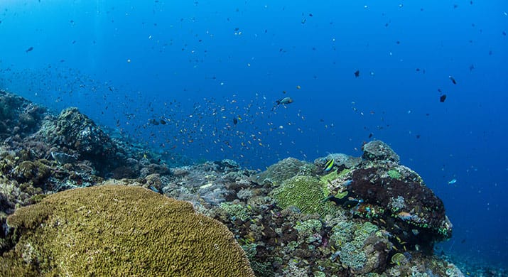 1_Lembongan-Webphoto_0033