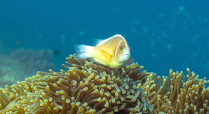 bv-product-web-gallery-013