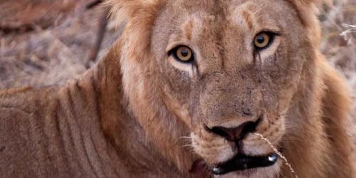 9e7b1dec0f71454522410a4587b40d3d