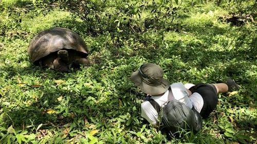 itinerary_mobi_Breeding_Center___Charles_Darwin_Research_Station.jpeg1