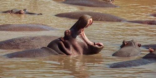 2843d3c6c608742d79333f0cb4487af5