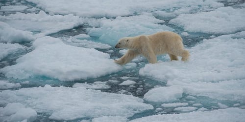 b26f55ee1bdbbe2450a7636cd0652a88