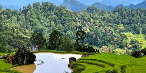 c6a56afa98babcea6cb52c9907960966