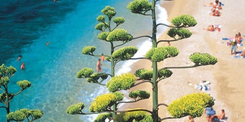 6882b81bc5d2637eb77a4edc8b67386f