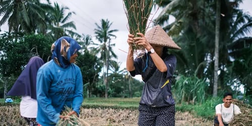 2ccd86bf4cf9eaf9eda7a91747580948