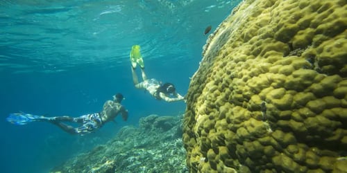 381a4e2461c57cc14877485e37c933c6