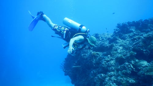 fiji-marine-conservation-coral-reef