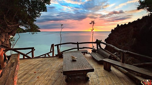 ttt14dmarinewild_7_1280x720_for_navi_web