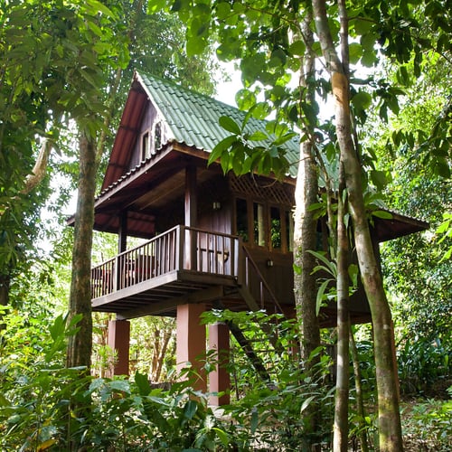 thai-house-quad-bungalow-our-jungle-house_gallery_full