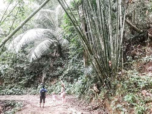 our-jungle-resort-tour_gallery_full