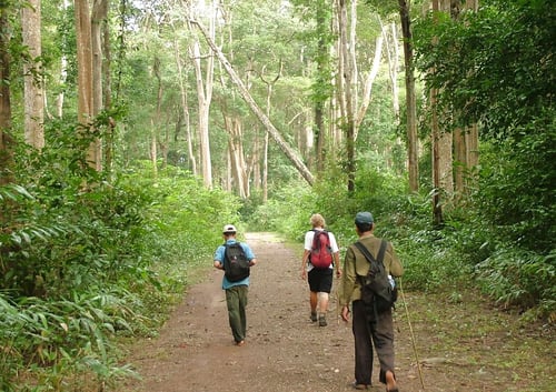 luang-prabang-hillside-trek-5