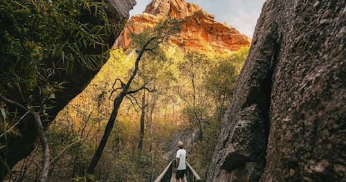 37509-9424b232-7a9c-413a-bd49-96ae4d4bc697-thumbnail