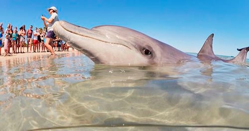 33407-adb2b221-e16b-4529-ae81-d2e69085ff3e-thumbnail