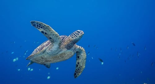 1_bv-product-web-gallery-012