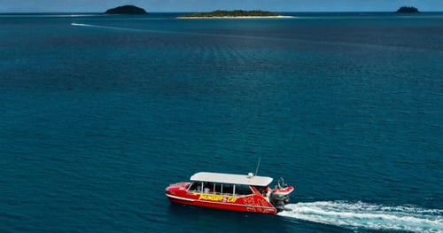 42310-10d884ed-8c85-4d28-af03-3ed0e6e50749-thumbnail