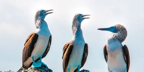 12602508303d725f5e5da8504203363b