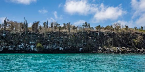 f5552e7b28243948d01197c4fc187ace