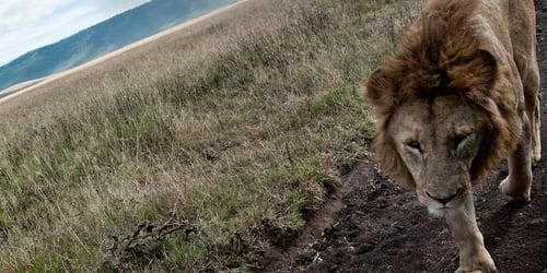 f9f53b36b01e4d87d72cda381482f080