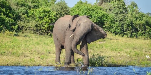 ed53a55ca32db841a690130ec85aeda5