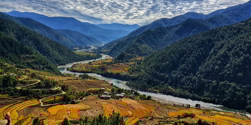 5f65680c4a6d1673d8a1165490654f45