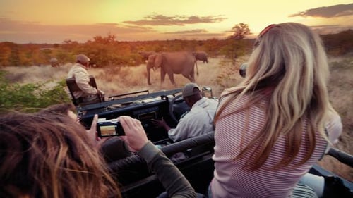 itinerary_mobi_South-Africa-Kruger-Travellers-Vehicle-Elephants-Sunset-Jaymie-Bachiu-2012-IMG5792-Processed-Edit-Lg-RGB-web