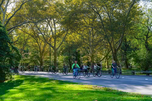 1818-bike_rental_-_central_park