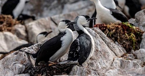 27143-20a746f7-1e62-45ea-a825-0487e70a0a73-thumbnail