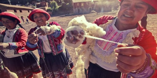 5149f2604a6f25f0b7d1dfc7c0d733b2