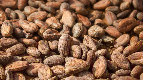 379-uberland-hamburg-visit-chocoversum