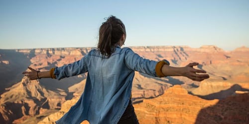 6c501e08483fd303362a60c9b2895156