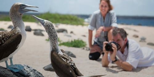 01adefd22c293faebbbf2d4f4293f2ca