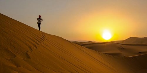 eb0bece6559c835726cd4fd72a83f3d5