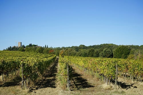 1871-winery_visit_incl._lunch__fullday